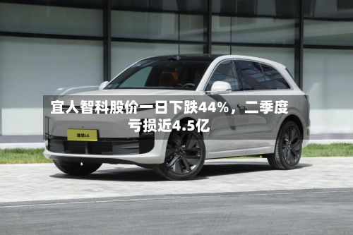 宜人智科股价一日下跌44%，二季度亏损近4.5亿-第3张图片
