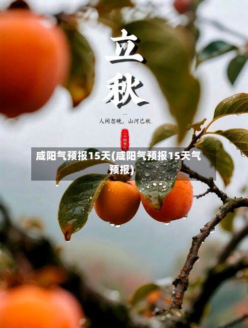 咸阳气预报15天(咸阳气预报15天气预报)