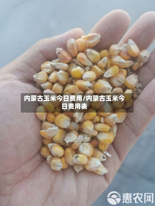 内蒙古玉米今日费用/内蒙古玉米今日费用表-第2张图片