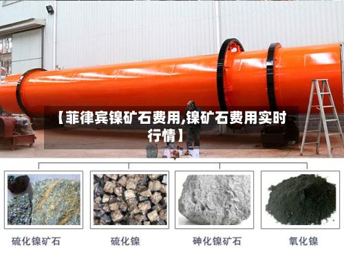 【菲律宾镍矿石费用,镍矿石费用实时行情】-第2张图片