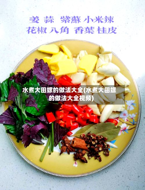 水煮大田螺的做法大全(水煮大田螺的做法大全视频)
