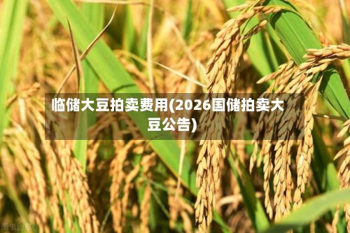 临储大豆拍卖费用(2026国储拍卖大豆公告)