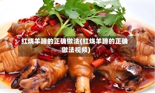 红烧羊蹄的正确做法(红烧羊蹄的正确做法视频)