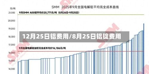 12月25日铝费用/8月25日铝锭费用