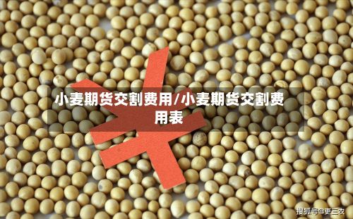 小麦期货交割费用/小麦期货交割费用表