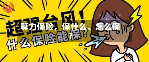 算力保险	，保什么、怎么保？-第2张图片
