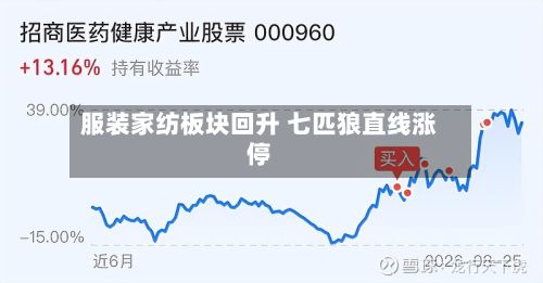 服装家纺板块回升 七匹狼直线涨停-第2张图片