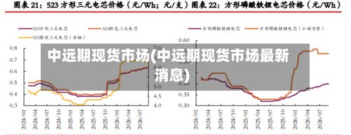 中远期现货市场(中远期现货市场最新消息)
