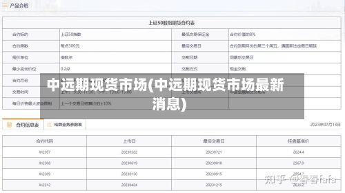 中远期现货市场(中远期现货市场最新消息)-第2张图片