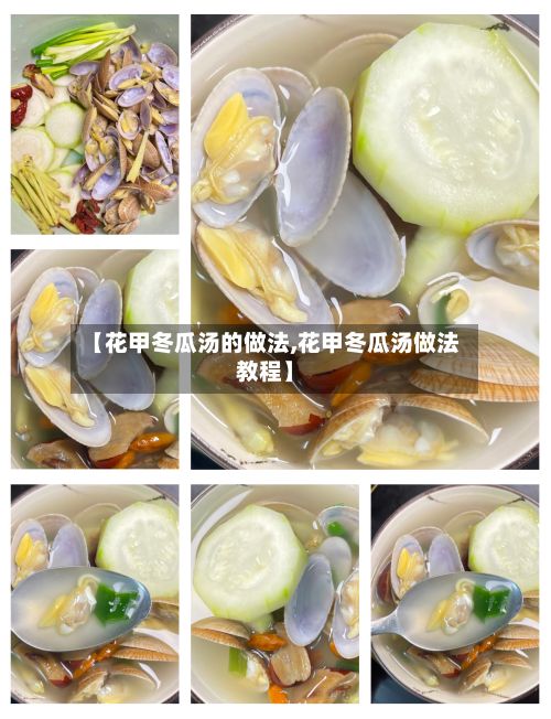 【花甲冬瓜汤的做法,花甲冬瓜汤做法教程】