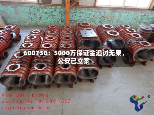 600730：5000万保证金追讨无果，公安已立案-第2张图片