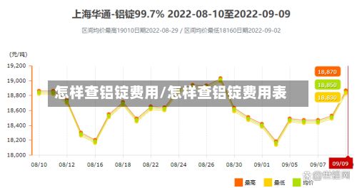 怎样查铝锭费用/怎样查铝锭费用表
