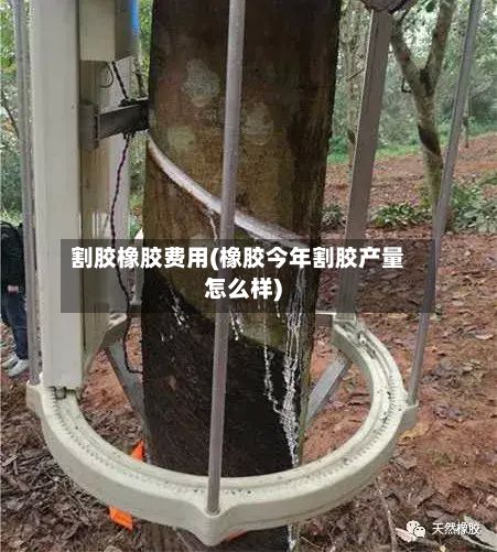 割胶橡胶费用(橡胶今年割胶产量怎么样)-第3张图片