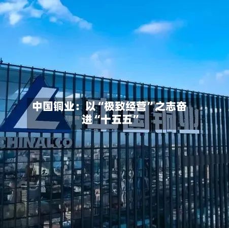 中国铜业：以“极致经营	”之志奋进“十五五”-第3张图片