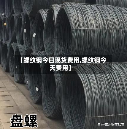 【螺纹钢今日现货费用,螺纹钢今天费用】