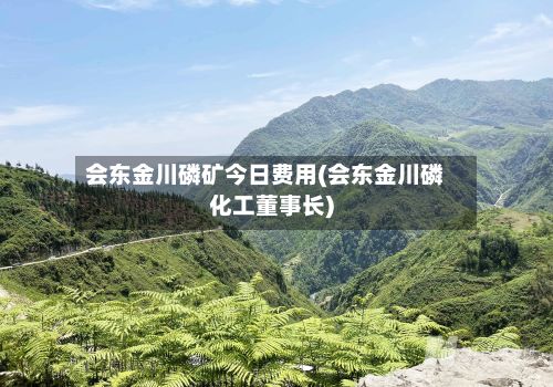 会东金川磷矿今日费用(会东金川磷化工董事长)-第2张图片