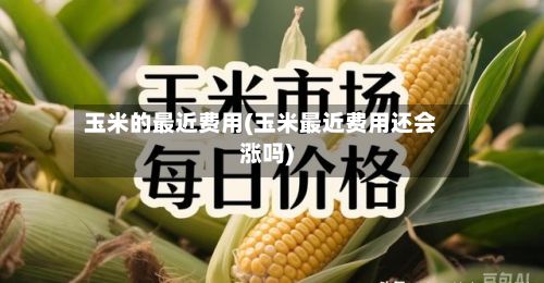玉米的最近费用(玉米最近费用还会涨吗)