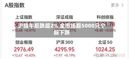 沪指午后跌超2% 全市场超5000只个股下跌
