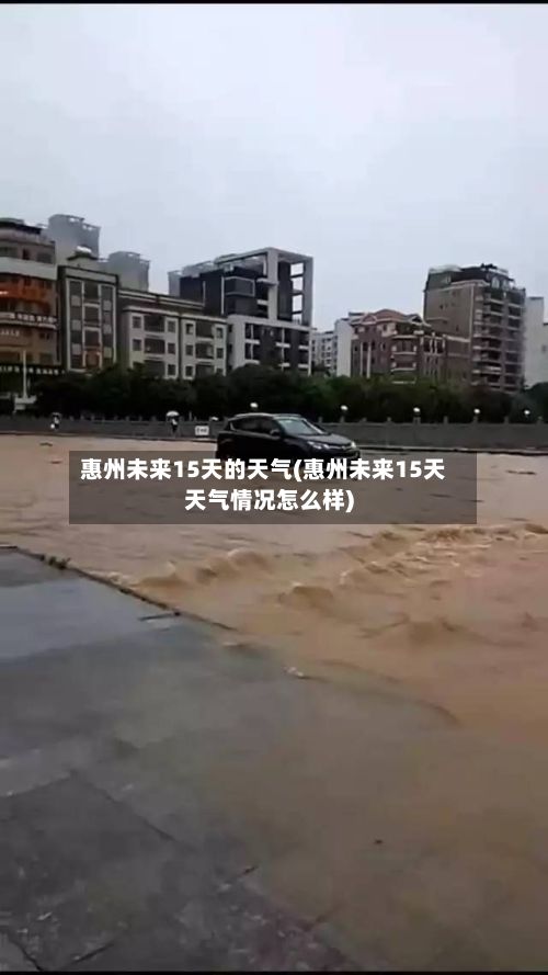 惠州未来15天的天气(惠州未来15天天气情况怎么样)