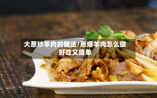大葱炒羊肉的做法/葱爆羊肉怎么做好吃又简单