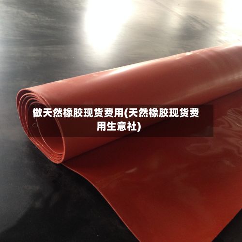 做天然橡胶现货费用(天然橡胶现货费用生意社)-第2张图片
