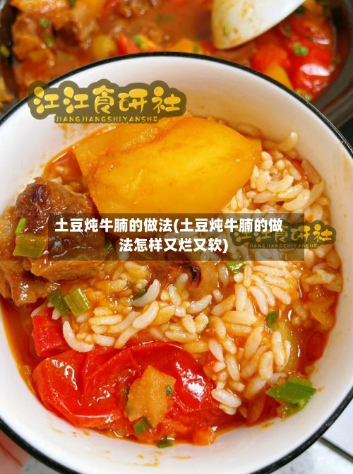 土豆炖牛腩的做法(土豆炖牛腩的做法怎样又烂又软)
