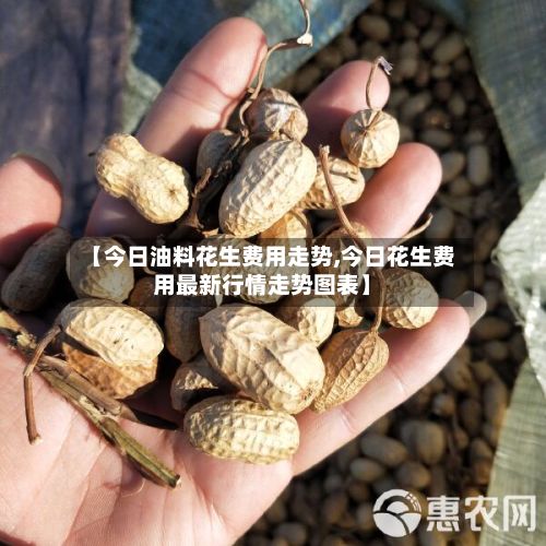 【今日油料花生费用走势,今日花生费用最新行情走势图表】