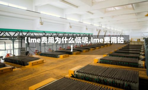 【lme费用为什么低呢,lme费用钴】