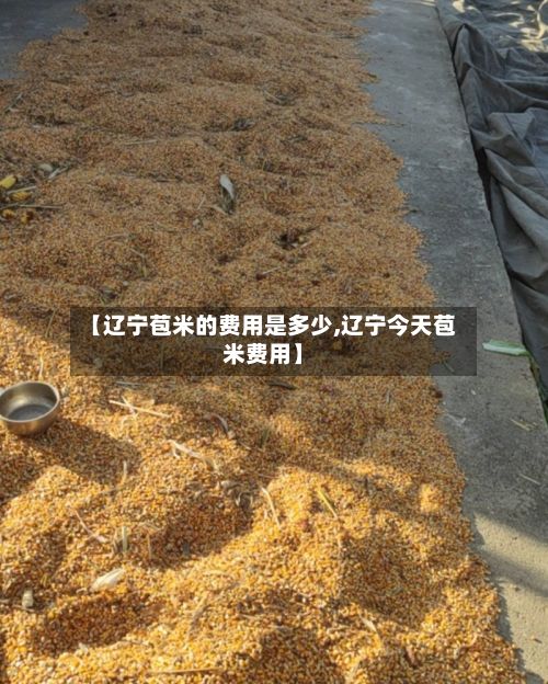 【辽宁苞米的费用是多少,辽宁今天苞米费用】
