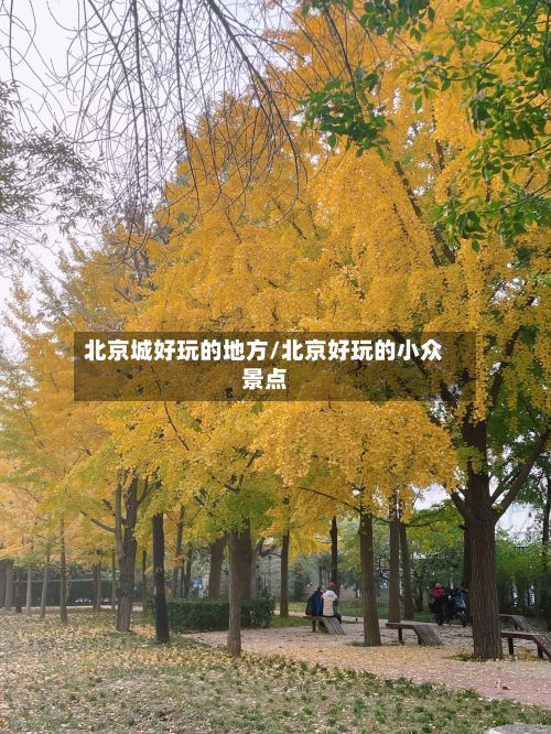北京城好玩的地方/北京好玩的小众景点