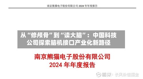 从“修颅骨	”到“读大脑”：中国科技公司探索脑机接口产业化新路径-第3张图片