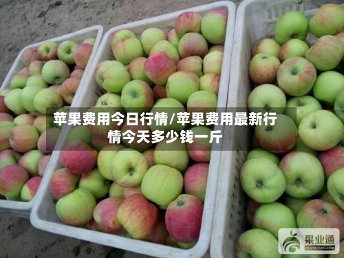 苹果费用今日行情/苹果费用最新行情今天多少钱一斤