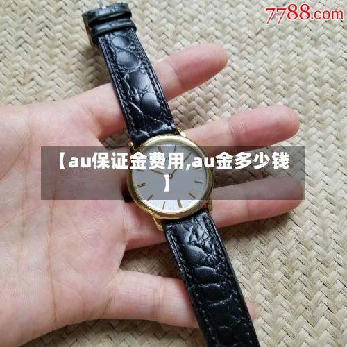 【au保证金费用,au金多少钱】-第3张图片