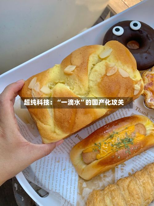 超纯科技：“一滴水”的国产化攻关-第3张图片