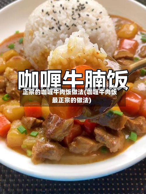 正宗的咖喱牛肉饭做法(咖喱牛肉饭最正宗的做法)-第2张图片