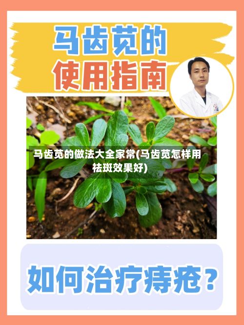 马齿苋的做法大全家常(马齿苋怎样用祛斑效果好)-第2张图片