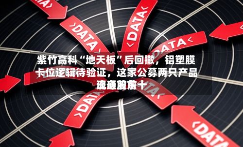 紫竹高科“地天板	”后回撤，铝塑膜卡位逻辑待验证，这家公募两只产品现身前前十流通股东-第2张图片