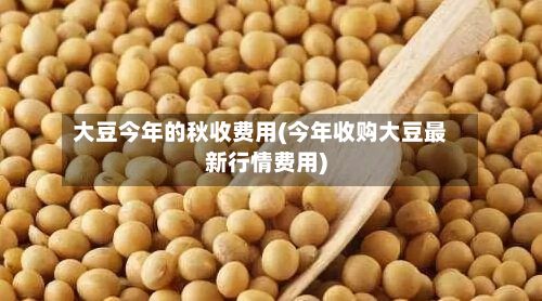 大豆今年的秋收费用(今年收购大豆最新行情费用)-第2张图片