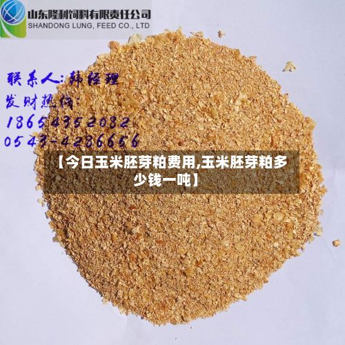 【今日玉米胚芽粕费用,玉米胚芽粕多少钱一吨】-第2张图片