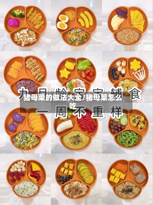 猪母菜的做法大全/猪母菜怎么吃