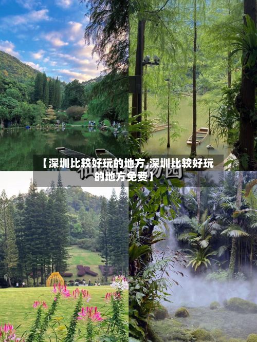 【深圳比较好玩的地方,深圳比较好玩的地方免费】-第2张图片