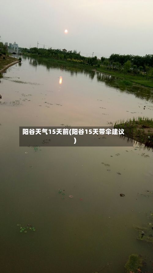 阳谷天气15天前(阳谷15天带伞建议)
