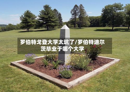 罗伯特戈登大学太坑了/罗伯特迪尔茨毕业于哪个大学-第3张图片