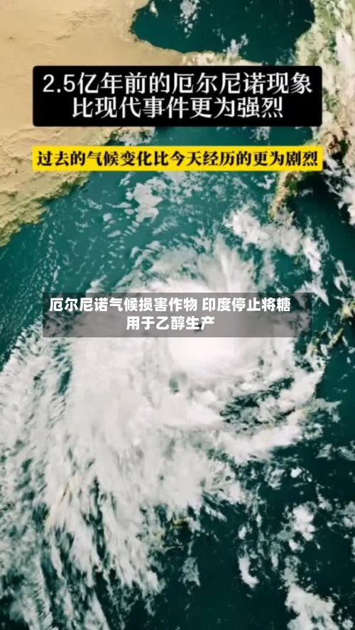 厄尔尼诺气候损害作物 印度停止将糖用于乙醇生产-第2张图片