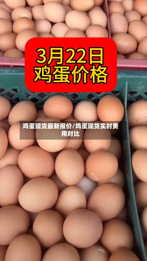 鸡蛋现货最新报价/鸡蛋现货实时费用对比