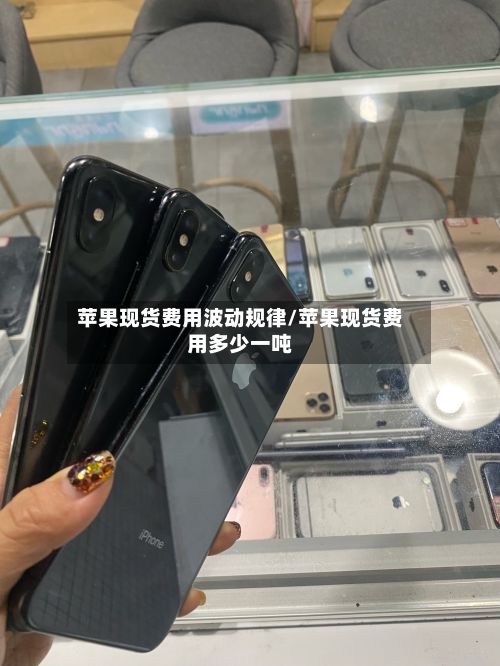 苹果现货费用波动规律/苹果现货费用多少一吨
