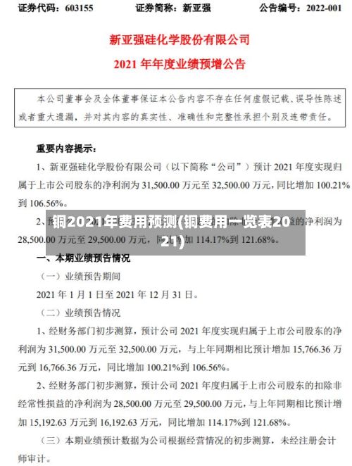 铜2021年费用预测(铜费用一览表2021)-第3张图片