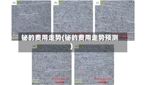 铋的费用走势(铋的费用走势预测)-第3张图片