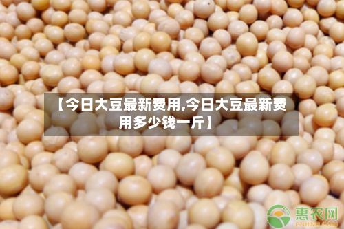 【今日大豆最新费用,今日大豆最新费用多少钱一斤】