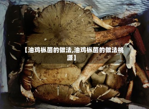 【油鸡枞菌的做法,油鸡枞菌的做法桃源】
